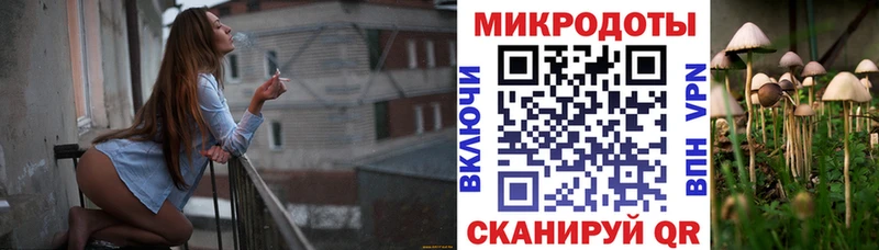 OMG   Унеча  Псилоцибиновые грибы мухоморы  закладка 